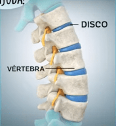 Conheça a anatomia da coluna vertebral