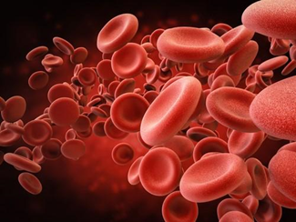 A hemoglobina é a proteína que transporta oxigênio para os tecidos do corpo