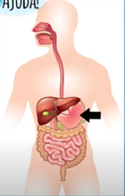 A doença de crohn afeta o trato gastrointestinal.