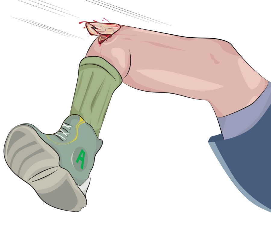 Shutterstock 1980448346