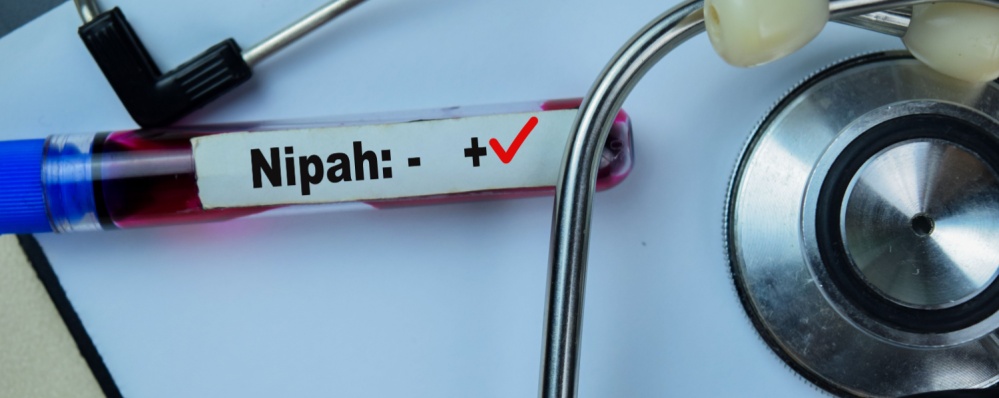 Shutterstock 2346098403