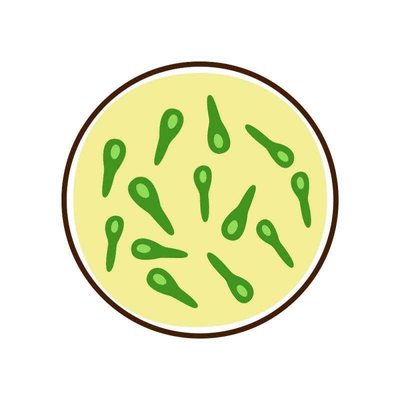 Shutterstock 2552905183