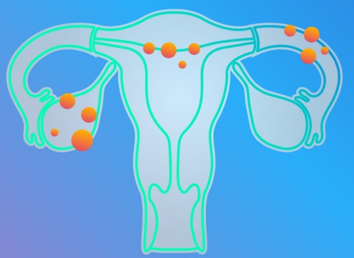 Shutterstock 1008589174