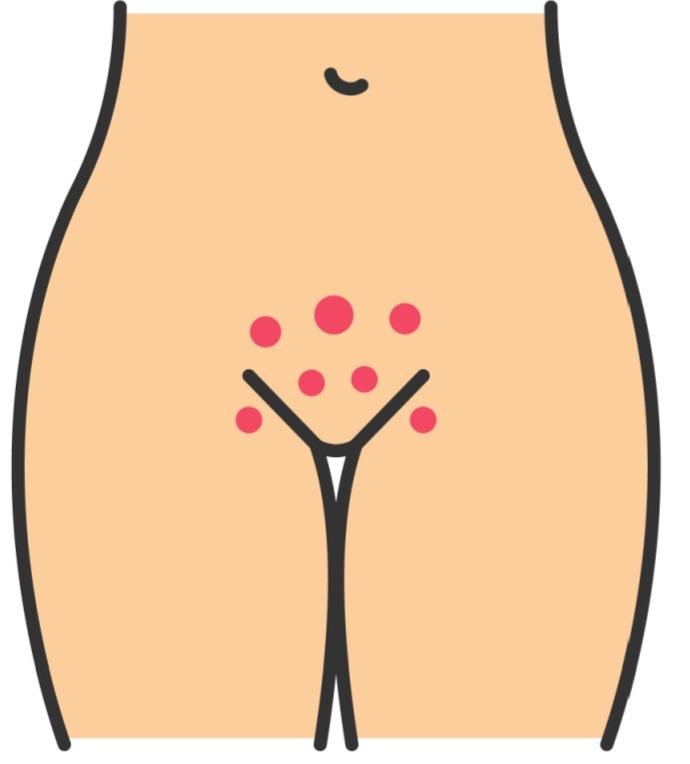 Shutterstock 1194340678