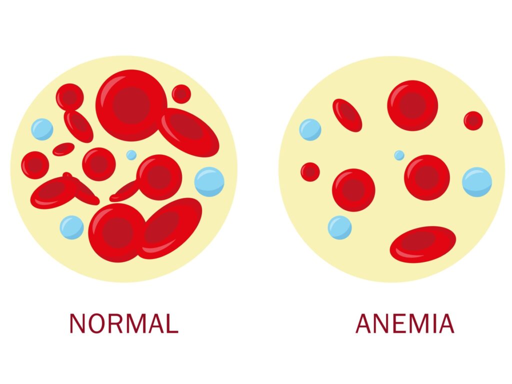 Shutterstock 1492727036