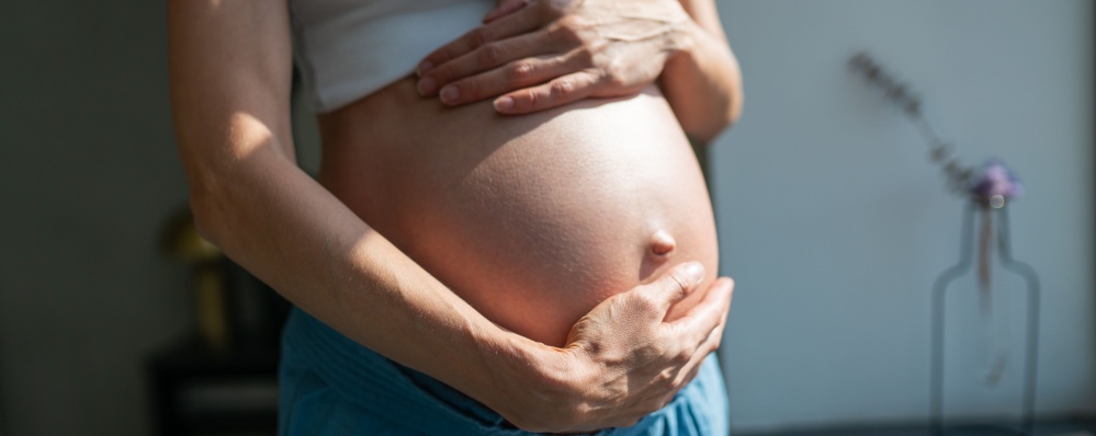 Shutterstock 2715670715