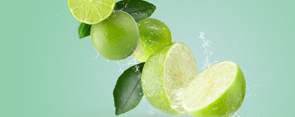 Shutterstock 2277594897