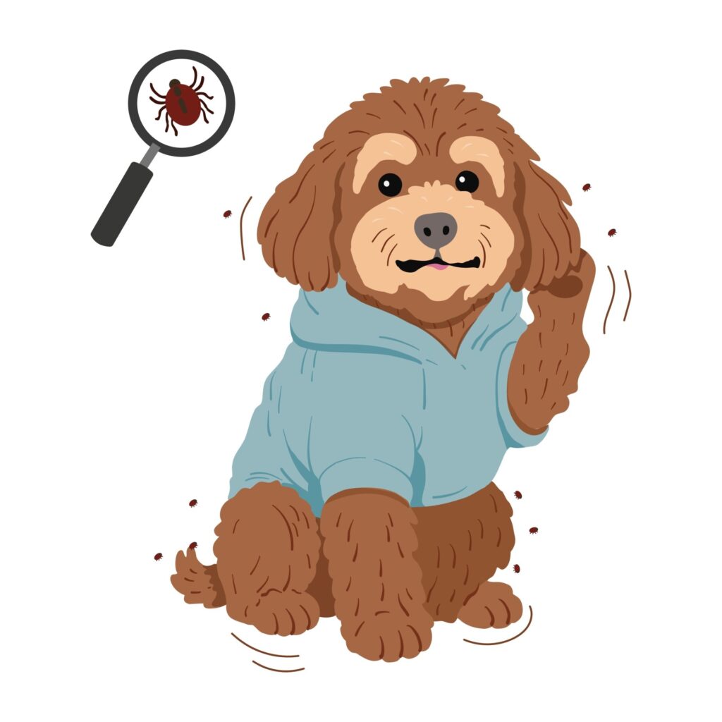 Cute,Flat,Vector,Illustration,Of,Brown,Toy,Poodle,In,Blue