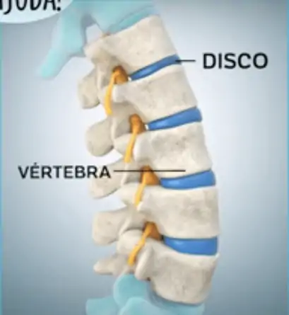 Conheça a anatomia da coluna vertebral