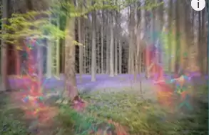 A pessoa perceber alguns pontos brilhantes.