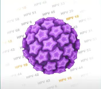 A vacina previne 90% dos cânceres de colo de útero. 