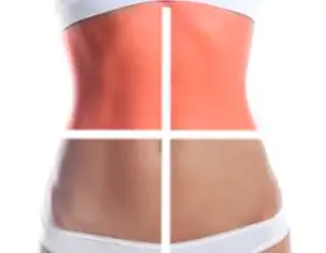 A barriga é dividida em quatro partes