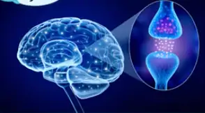 Reduz inflamação e promove sentimentos de calma e bem-estar.