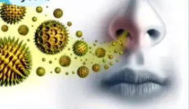 A asma é causada pela inflamação dos brônquios.