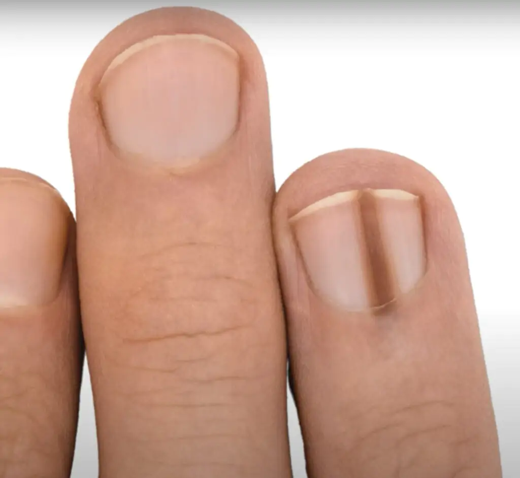 Captura de Tela 2025 03 20 às 00.21.01