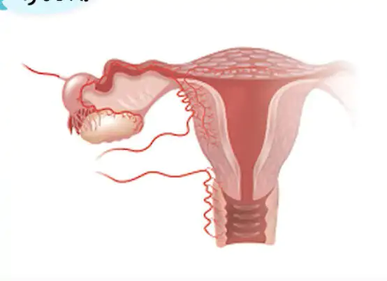 Captura de Tela 2025 03 21 às 01.38.09