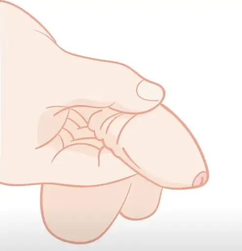 Captura de Tela 2025 04 14 às 22.08.04