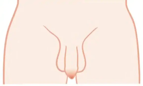 Captura de Tela 2025 04 14 às 22.11.30