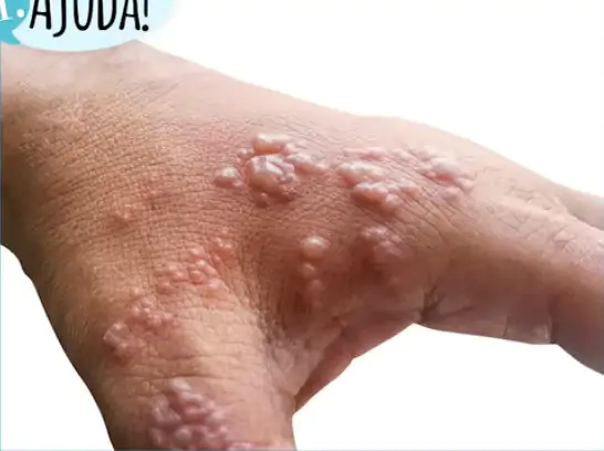 Captura de Tela 2025 04 16 às 06.26.24