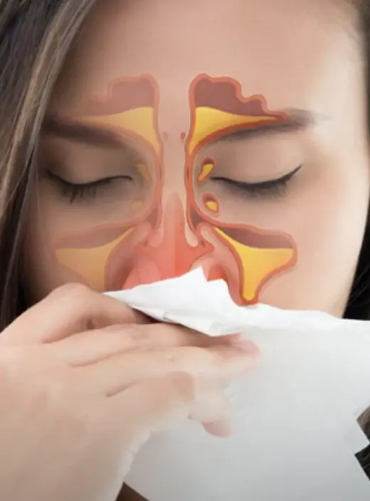 Captura de Tela 2025 04 25 às 00.02.17