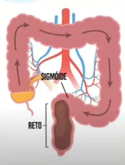 Captura de Tela 2025 04 30 às 18.19.05