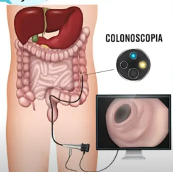 Captura de Tela 2025 04 30 às 18.22.20