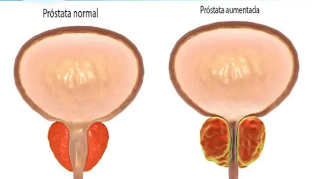 Captura de Tela 2025 07 09 às 16.27.27