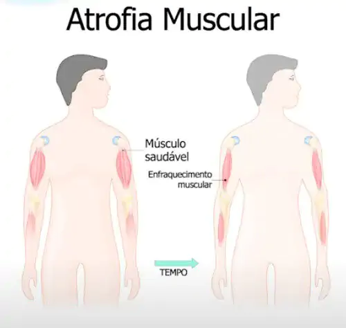 Captura de Tela 2025 07 16 às 20.05.06