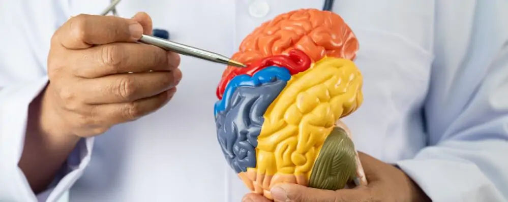 Shutterstock 2495902607