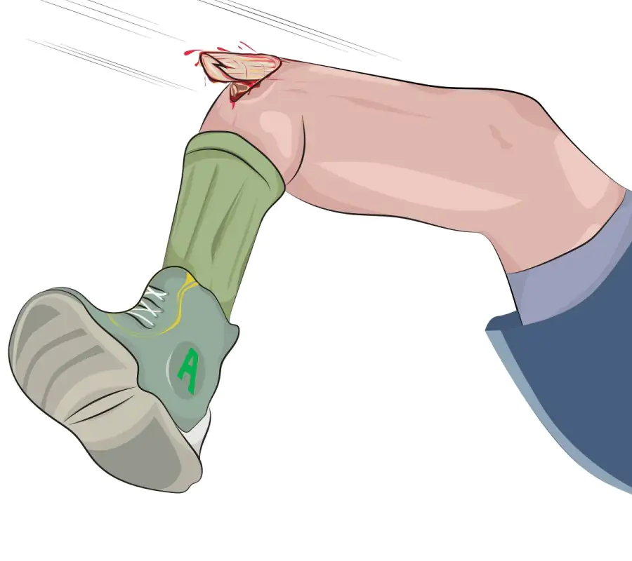 Shutterstock 1980448346