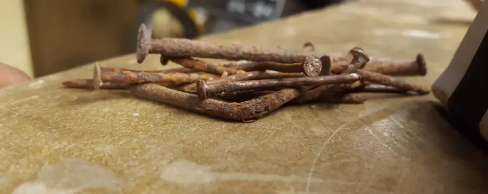 Shutterstock 1902125419