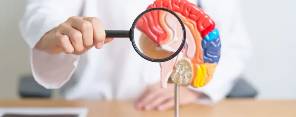 Shutterstock 2431446145