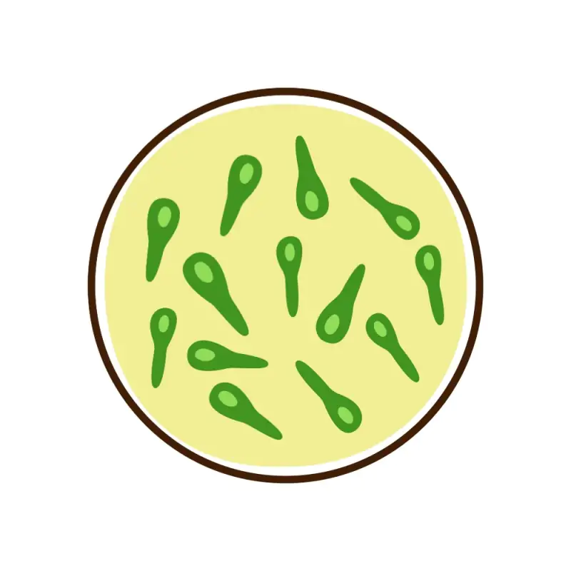 Shutterstock 2552905183