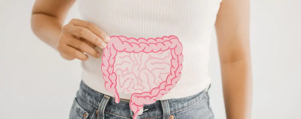 Shutterstock 2664347469