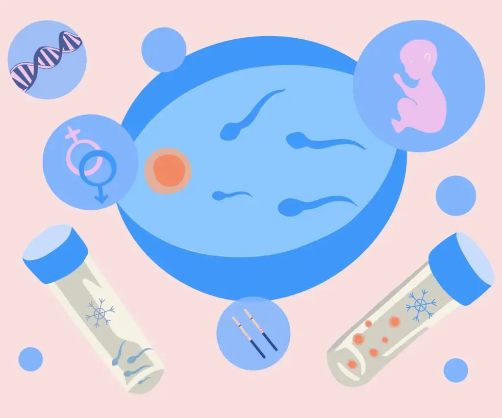 Shutterstock 2462616293