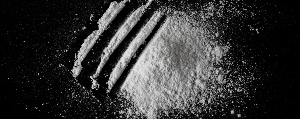 Shutterstock 2517846503 (1)