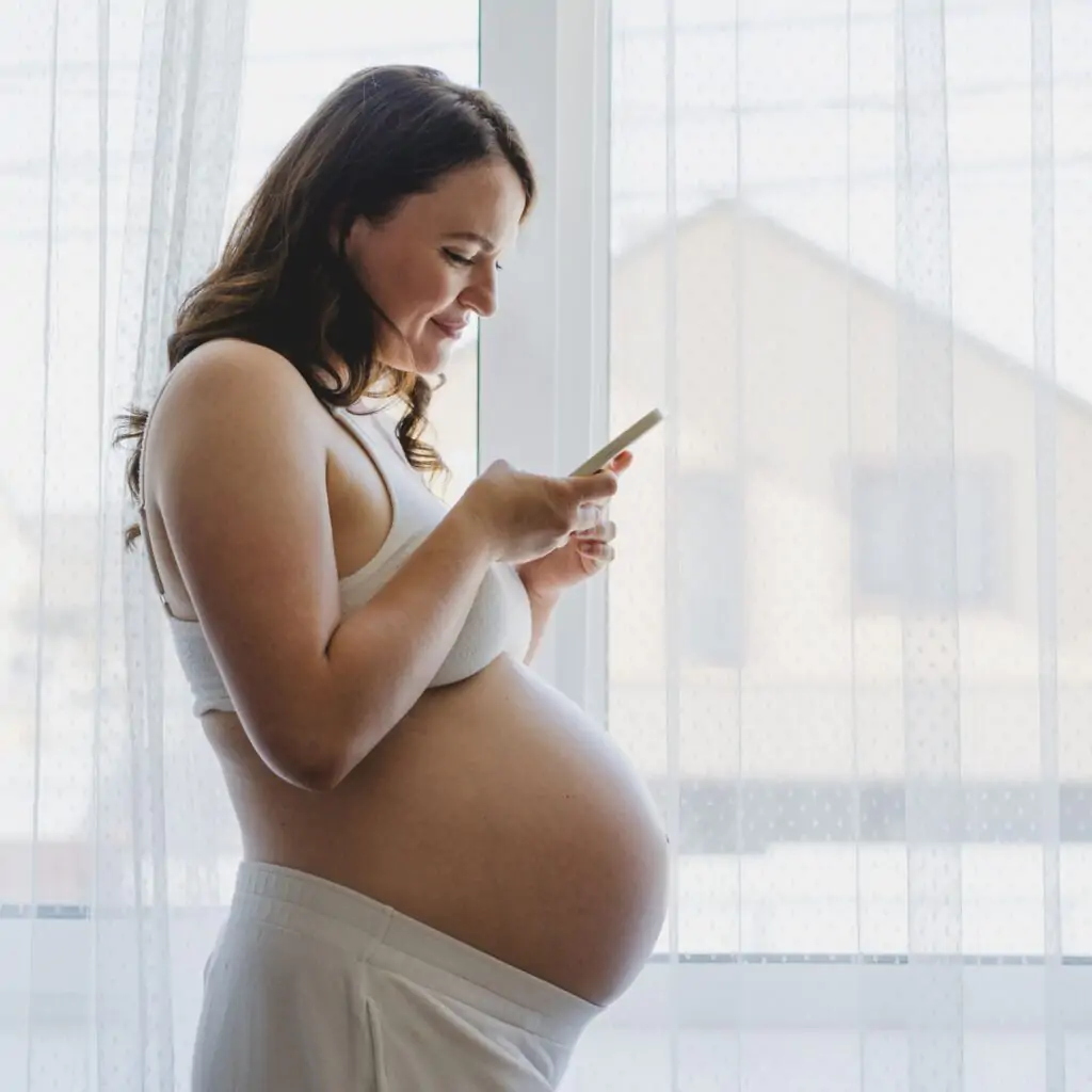 Shutterstock 2700032365